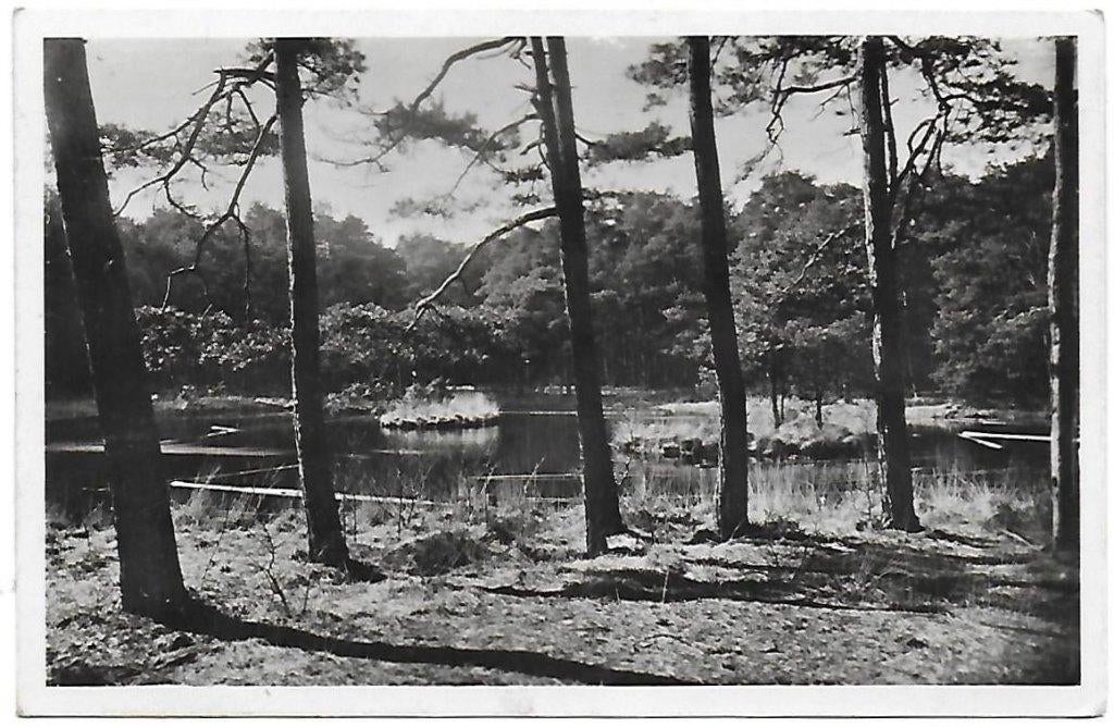 Woensdrecht Meeven Oude Gelopen Ansichtkaart ( P83, Ophalen of Verzenden, 1940 tot 1960, Gelopen