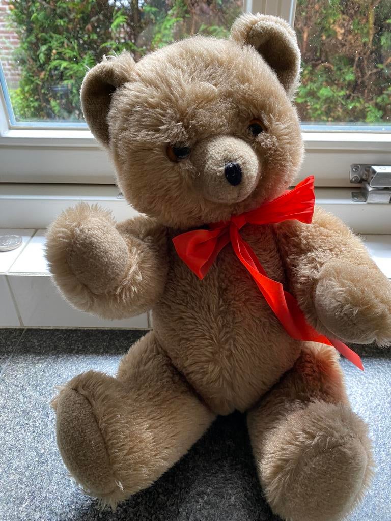 Mooie teddybeer oftewel een echte brombeer., Ophalen of Verzenden, Nieuw, Stoffen beer, Overige merken