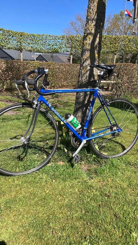 Originele Gazelle Champion AB-frame, Ophalen, Gebruikt, 57 tot 61 cm, Gazelle