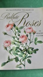 Frank Anderson - An illustrated treasury of Redouté Roses, Ophalen of Verzenden, Zo goed als nieuw, Schilder- en Tekenkunst