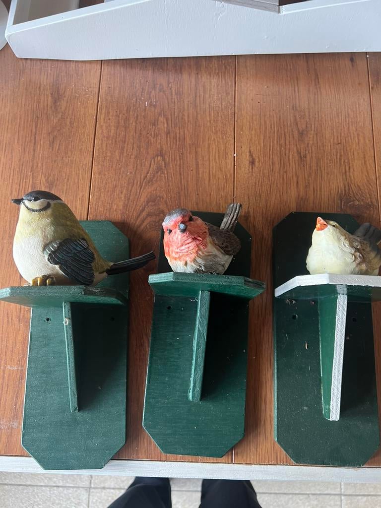 3x plankje met vogel.  Buitendecoratie  nieuw, Ophalen of Verzenden, Nieuw