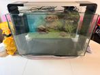 Superfish home 110, Dieren en Toebehoren, Ophalen, Zo goed als nieuw, Gevuld zoetwateraquarium