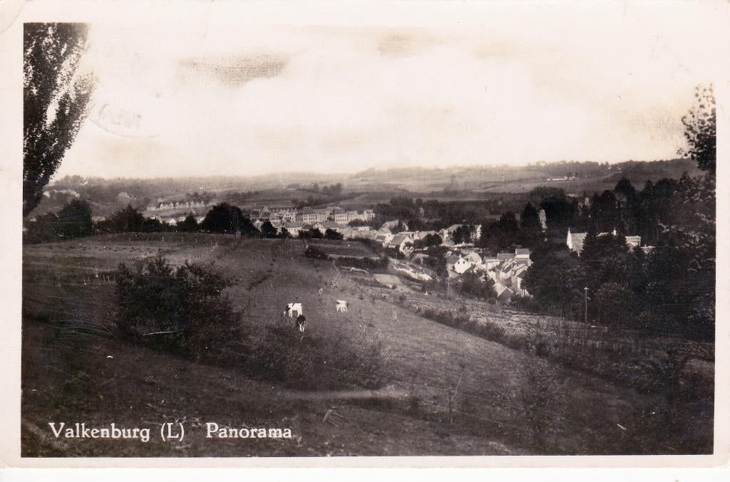 07988 Valkenburg - Panorama - gel. 1950, Verzenden, 1940 tot 1960, Gelopen, Limburg