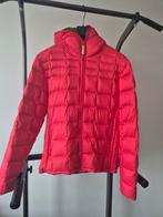 Dolomite dons winter ski jas - Maat L, Ophalen of Verzenden, Zo goed als nieuw, Blauw