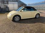 Volkswagen Beetle (Kever) 1Y 2003, 1380 kg, Overige kleuren, 4 stoelen, Leder