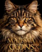 🌐🥇Mowgli🥇🌐 Maine Coon Dekkater, 0 tot 2 jaar