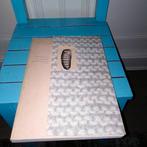 Baronnen en kunstenaar  landhuis Oud-Amelisweerd, Ophalen of Verzenden, Gelezen