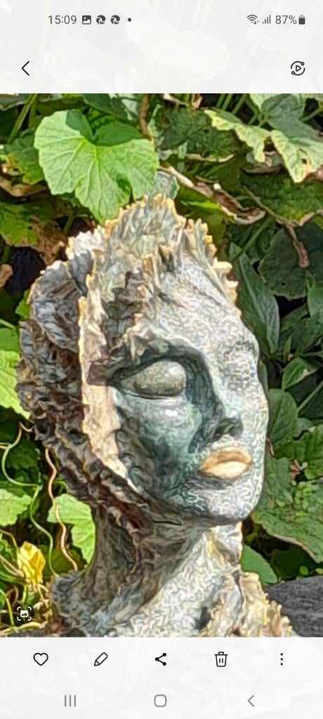 Beeld, Ophalen of Verzenden