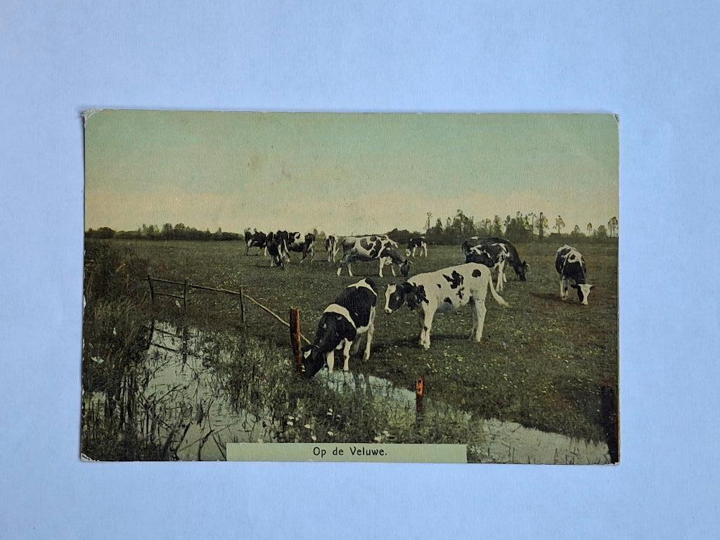 Ansichtkaart op de Veluwe, Ophalen of Verzenden, Voor 1920, Gelopen, Gelderland