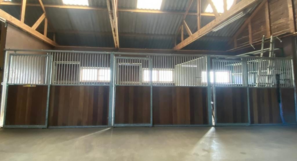 Pensionstalling (pony), Dieren en Toebehoren, Stalling en Weidegang, Weidegang, 1 paard of pony