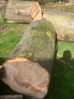 Amerikaans eiken stam ., 6 m³ of meer, Ophalen of Verzenden, Eikenhout, Stammen