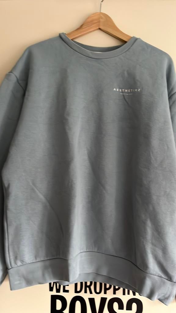 Sweater Daily Aesthetikz maat L in uitstekende staat, Kleding | Heren, Truien en Vesten, Maat 52/54 (L), Ophalen of Verzenden