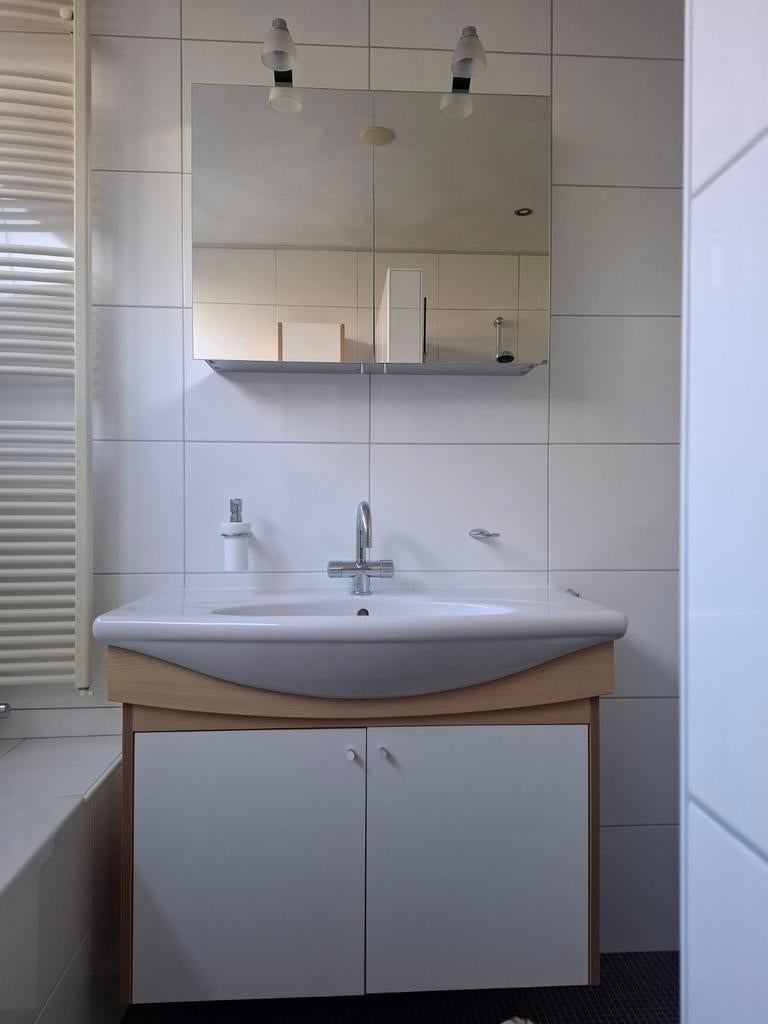 Wastafelmeubel ophalen GRATIS, Ophalen, Spiegelkast, 50 tot 100 cm, Minder dan 100 cm