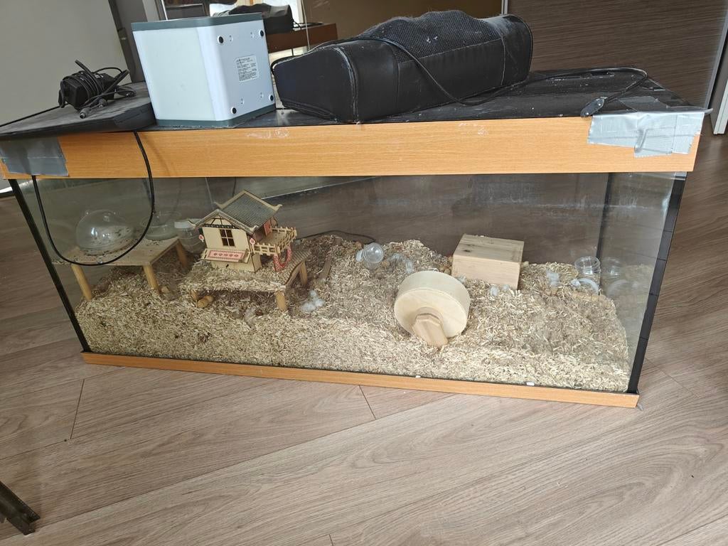 Aquarium 120 cm, Ophalen