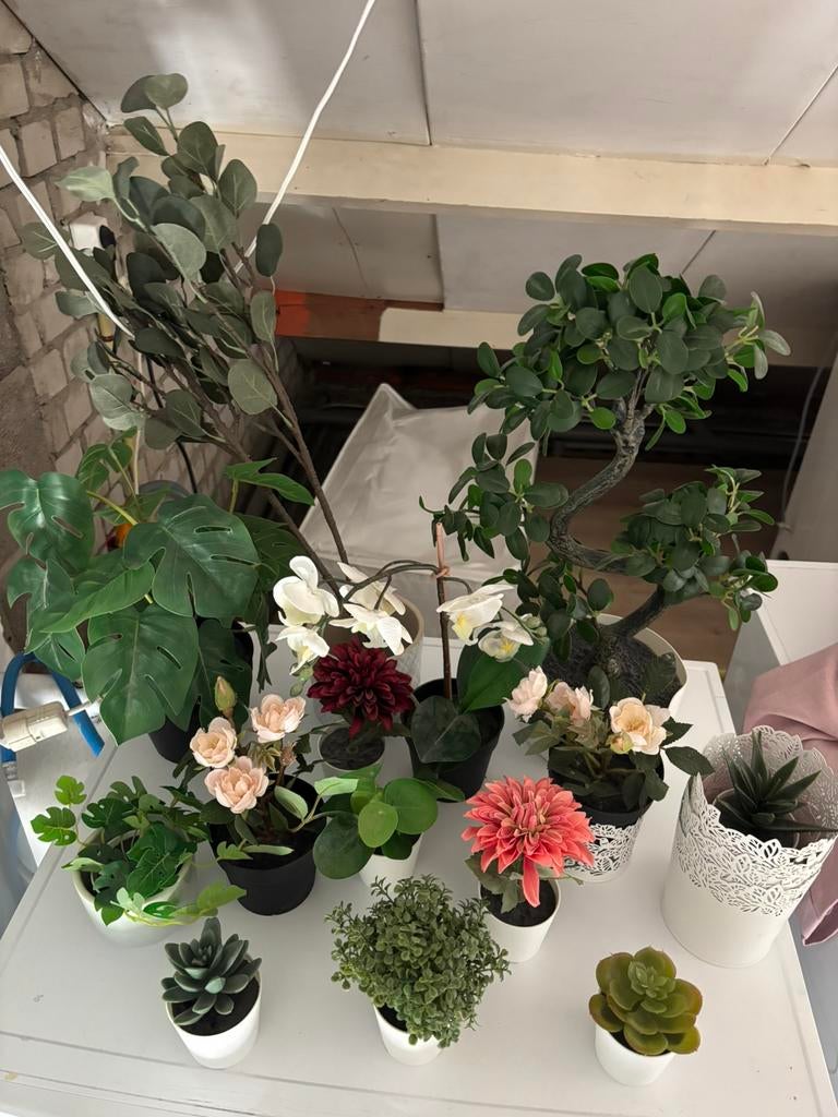 Ikea kunstplanten set, Ophalen of Verzenden, Zo goed als nieuw