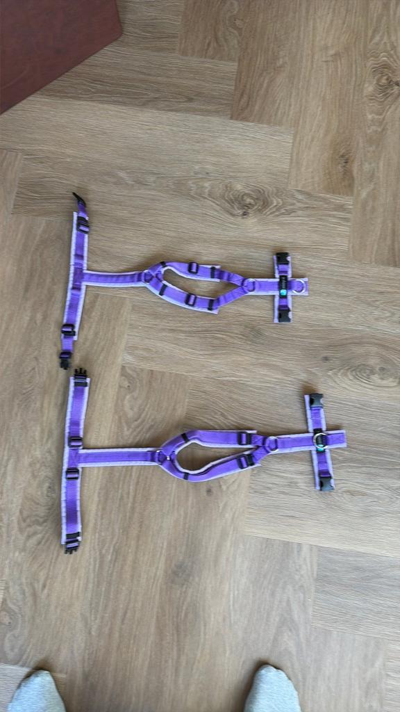 2 x anny x tuig  (prijs is voor beide tuigjes) NU € 65,00, Dieren en Toebehoren, Ophalen of Verzenden, Zo goed als nieuw