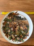 Vintage BUND wandbord "Tierjunge aus Wald und Feld" Conrad F, Ophalen of Verzenden