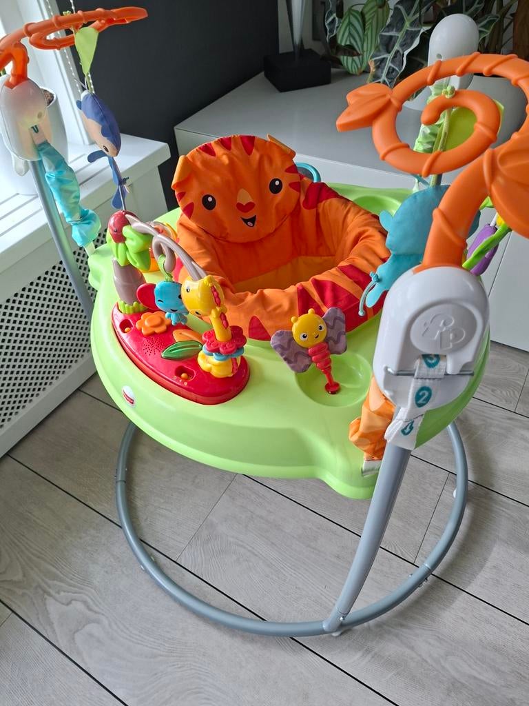 Fisher-Price Jumperoo - Springplezier voor baby's, Kinderen en Baby's, Speelgoed | Fisher-Price, Ophalen, Zo goed als nieuw, Overige typen