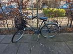 Gazelle damesfiets met mandje, Ophalen, Versnellingen, Gazelle, 53 tot 56 cm