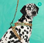 Dogs with a mission-Posh set, Dieren en Toebehoren, Honden-accessoires, Ophalen of Verzenden, Nieuw