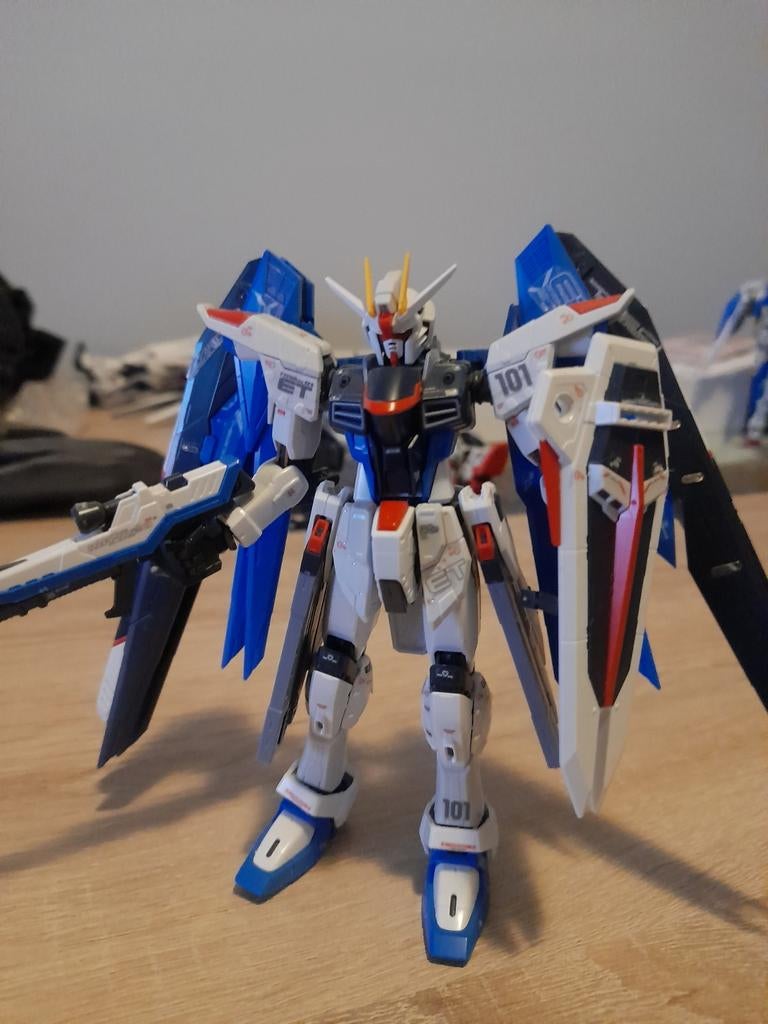real grade freedom gundam, Ophalen of Verzenden, 1:50 of kleiner