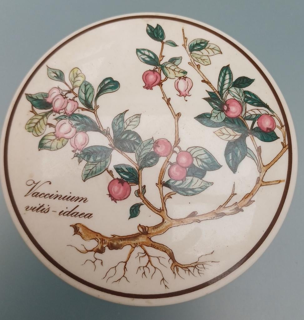 Trinketbox Villeroy & Boch, Botanica rode bosbes, Antiek en Kunst, Antiek | Wandborden en Tegels, Ophalen of Verzenden