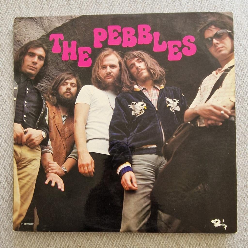 The Pebbles, Gebruikt, Ophalen of Verzenden, 1970 - 1979, 12 inch
