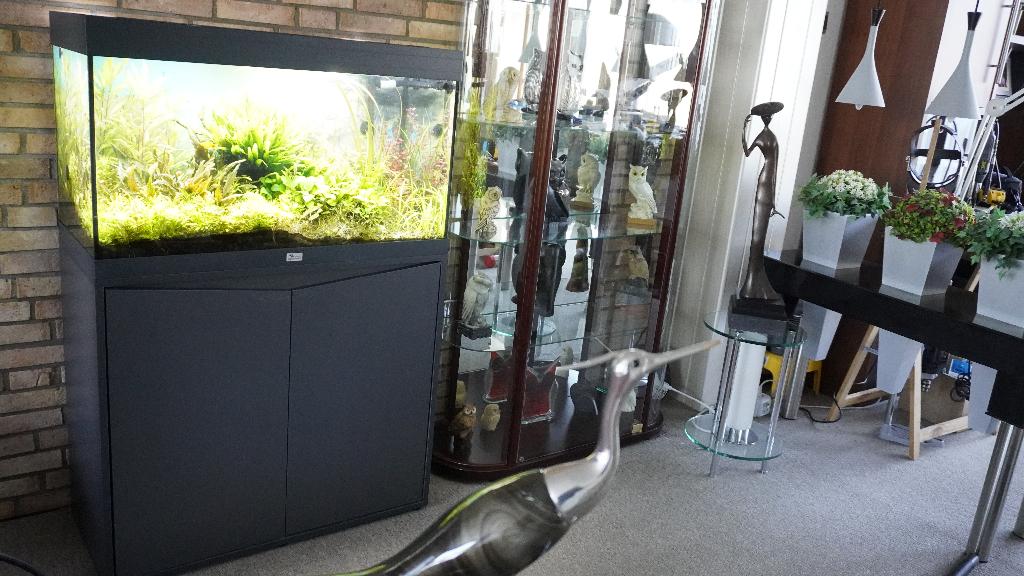 mooi aquarium van aquatlantis, Dieren en Toebehoren, Vissen | Aquaria en Toebehoren, Ophalen, Zo goed als nieuw, Gevuld zoetwateraquarium