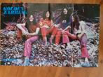 Golden Earring grote poster 50x80 cm (1971), Verzenden, Deurposter of groter, Rechthoekig Liggend, Zo goed als nieuw