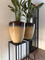 XXL Bloempotten in HK living stijl voor binnen (excl. plant), Gebruikt, 40 cm of meer, Rond, Binnen