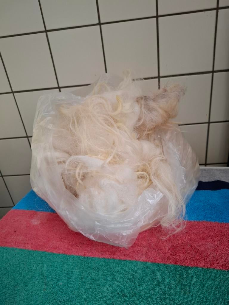 Gewassen wol  Heideschaap, Ophalen of Verzenden, Nieuw, Spinwol