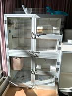 Kweekkooi, Dieren en Toebehoren, Vogels | Hokken en Kooien, Ophalen of Verzenden, Hout, Broedkooi of Kweekkooi