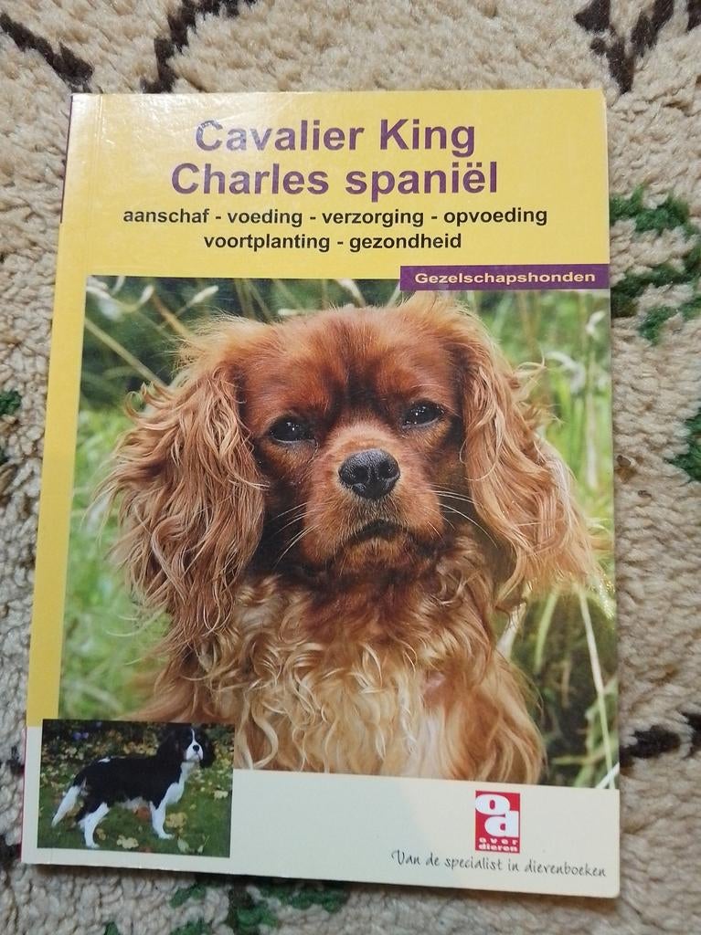Cavalier King Charles Spaniël boek, Ophalen of Verzenden