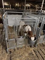 kalverboxen, Dieren en Toebehoren, Stalling en Weidegang