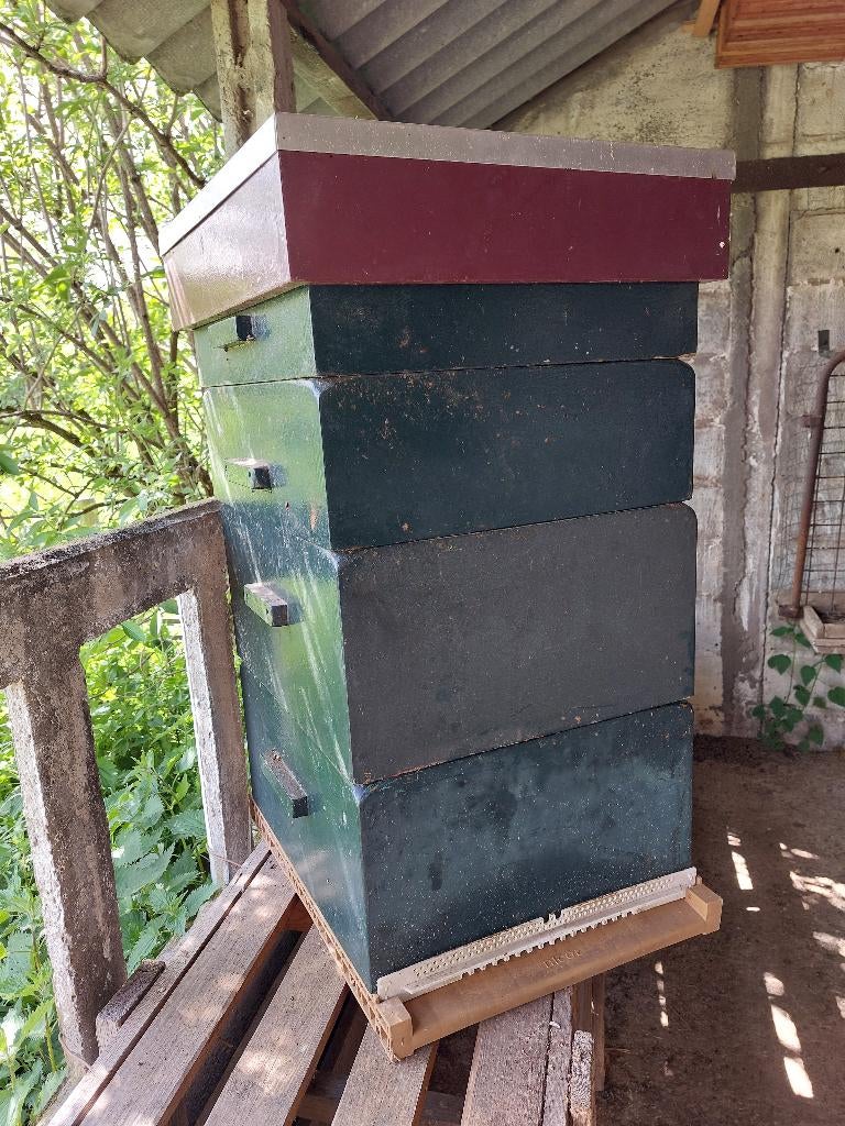 Simplex bijenkast inclusief ramen en toegehoren 150,-, Dieren en Toebehoren, Insecten en Spinnen, Bijen