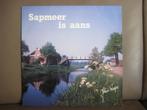 Johan Raspe – Sapmeer Is Aans, Ophalen of Verzenden, Zo goed als nieuw, 12 inch, Levenslied of Smartlap