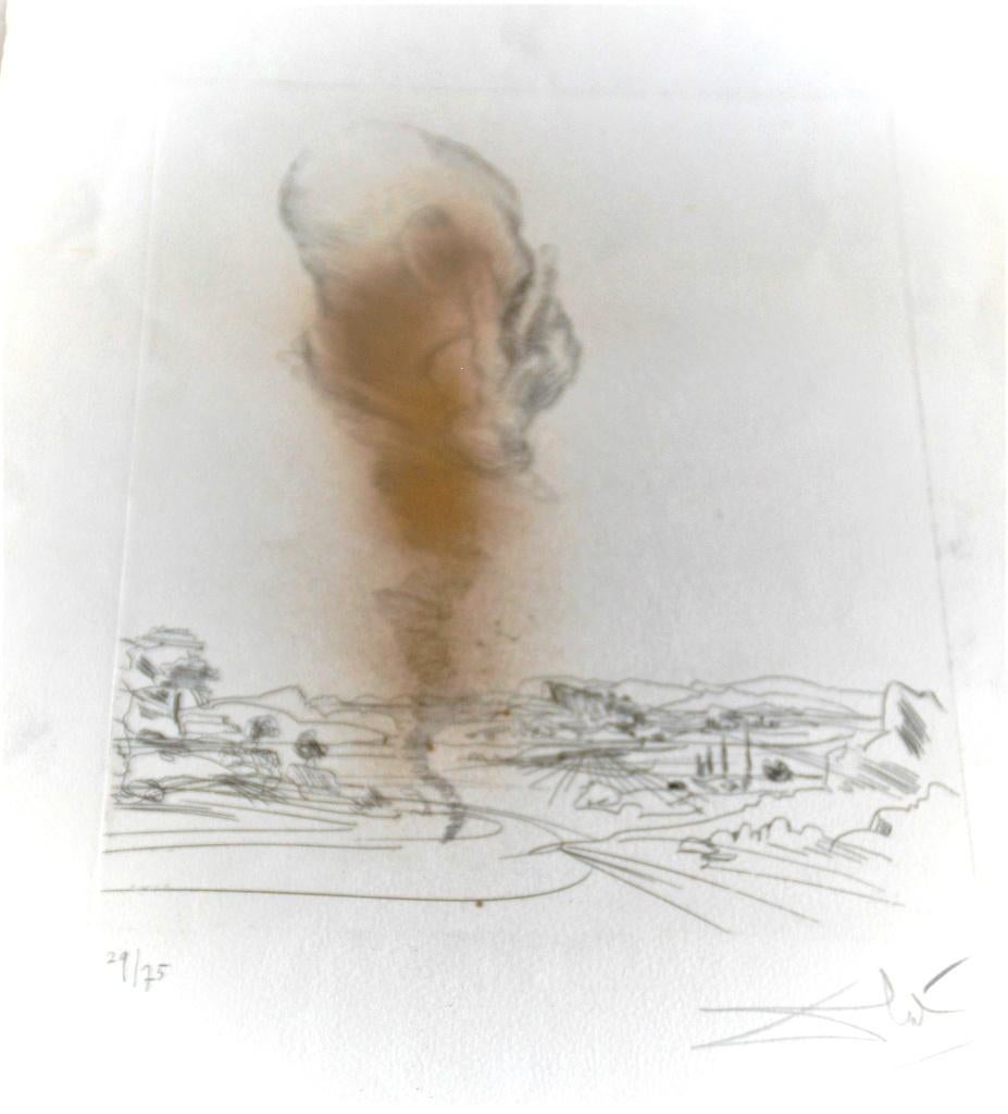 Salvador Dali  Zeer mooi werk ., Antiek en Kunst, Ophalen of Verzenden