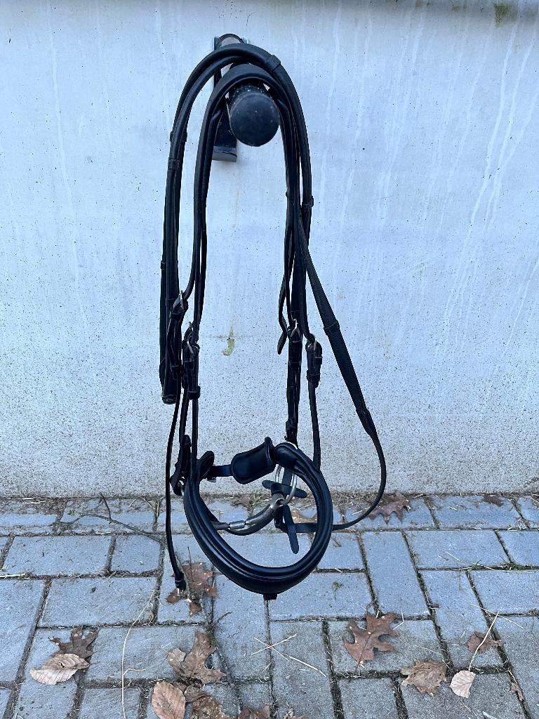 Anatomisch hoofdstel, Ophalen of Verzenden, Zo goed als nieuw, Dressuur