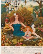 Retro reclame 1980 Roosvicee Braldt Bralds illustratie, Verzenden, Overige typen