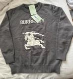 Trui gebreid, Ophalen of Verzenden, Zo goed als nieuw, Grijs