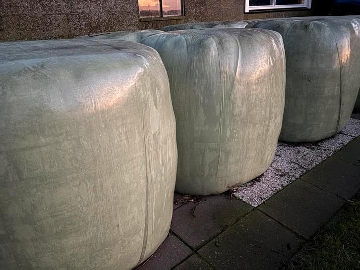 Kuilgras, foliebalen, biologisch, Dieren en Toebehoren, Dierenvoeding, Vee, Ophalen of Verzenden