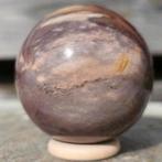 Versteend hout bol 56 mm, Ophalen of Verzenden