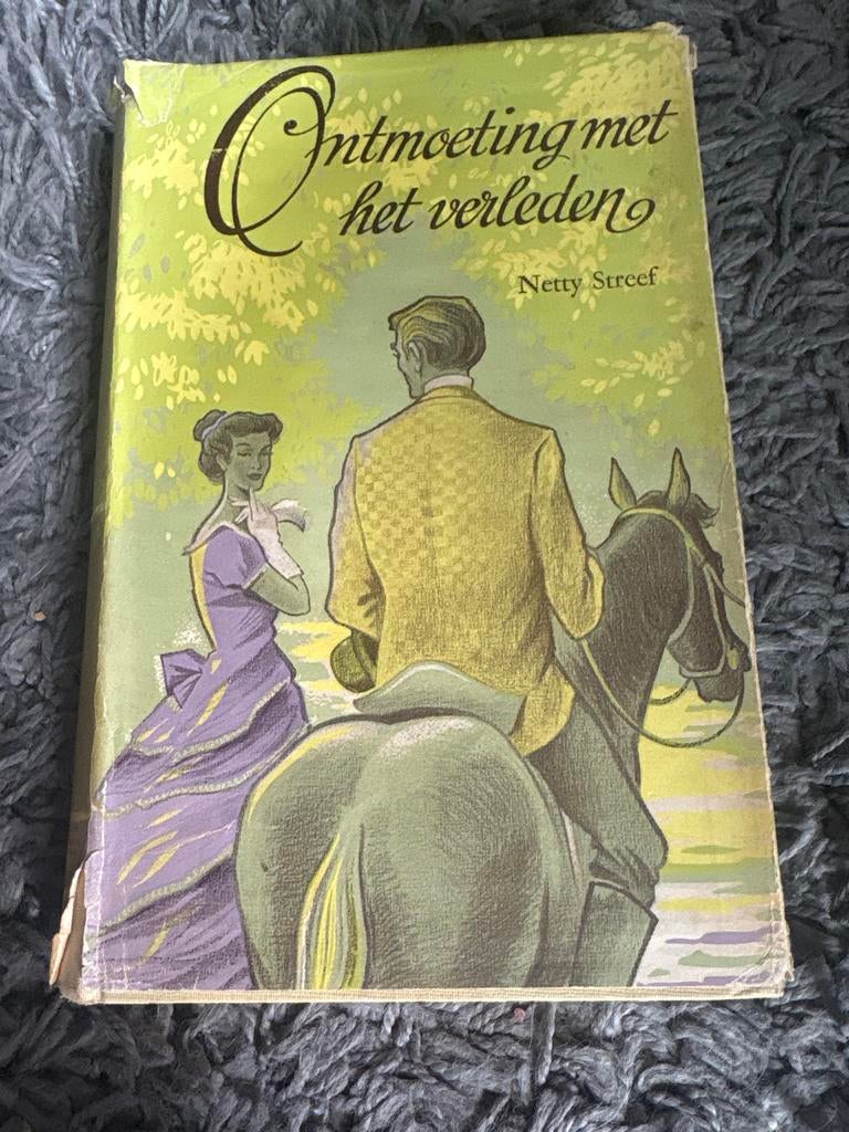 Ontmoeting met het verleden - Netty Streef, Boeken, Ophalen of Verzenden, Gelezen, Nederland