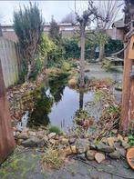 Vijver . Problemen  zijn op te lossen, Ophalen of Verzenden