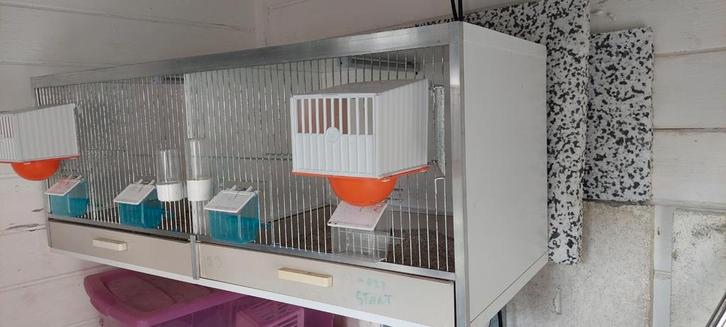 Gehu kweekkooi/ broedkooi compleet, Dieren en Toebehoren, Vogels | Hokken en Kooien, Broedkooi of Kweekkooi, Ophalen of Verzenden
