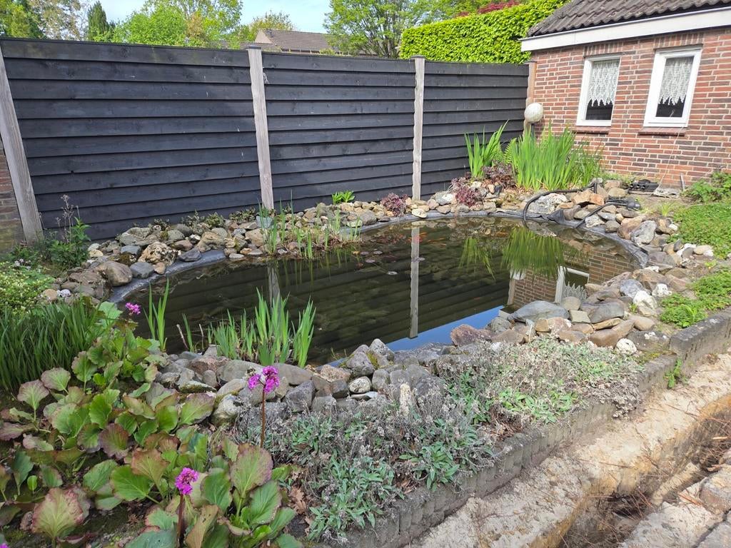 Vijver: pomp, stenen, waterplanten, vissen, Ophalen, Gebruikt