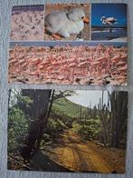 Bonaire 2x, Ophalen of Verzenden, 1980 tot heden, Overig Europa