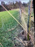Wolfwerend omheining,afrastering anderhalf jaar oud., Ophalen, Zo goed als nieuw, 20 meter of meer, Raster
