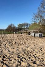 Stal beschikbaar incl hooi en brok €450,-, Dieren en Toebehoren, Stalling en Weidegang, Weidegang