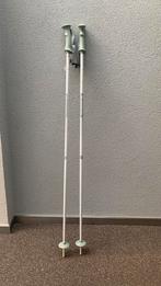 Skistokken Salomon 120 cm, Sport en Fitness, Skiën en Langlaufen, Stokken, 100 tot 140 cm, Zo goed als nieuw, Salomon
